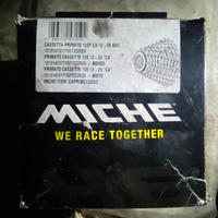 Pacco pignoni 10 velocità.