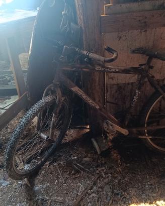 biciclette 