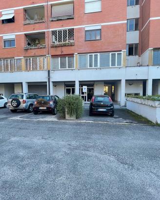 Vigne nuove - INVESTIMENTO