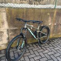 Trek remedy 8