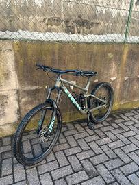 Trek remedy 8