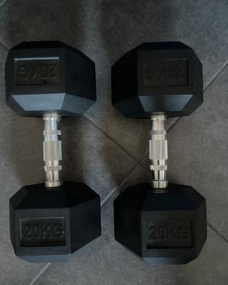 Manubri palestra 40 kg totali