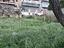 Immagine 11