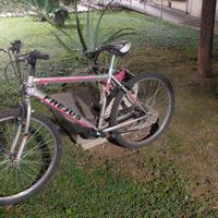 Bicicletta MTB Frejus