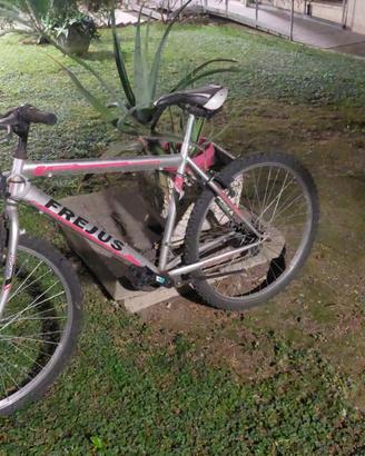 Bicicletta MTB Frejus