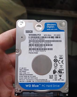 Ard disck pc portatile Western digital