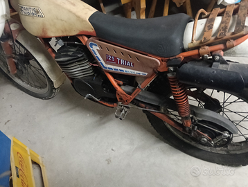 Fantic