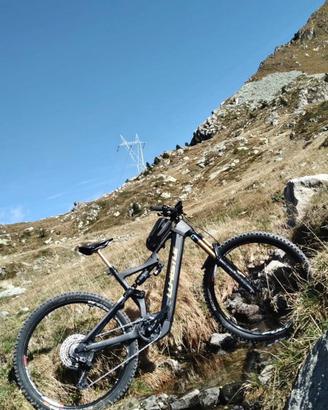 Ebike Whistle b-rusch C9.2 Bosch smart system