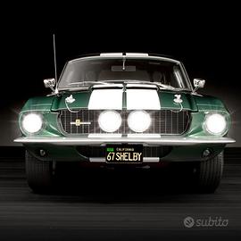 MODELLO Ford Shelby Mustang Gt 500 scala 1:6