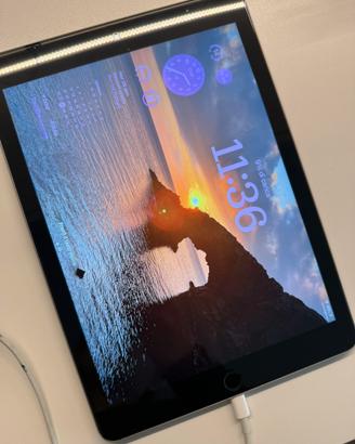 IPad 6th generazione 128 GB.