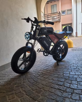 bicicletta  elettrica