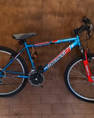 Bicicletta mountain bike 36 Torpado