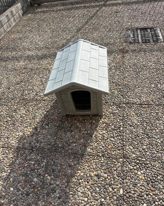 Cuccia per cani