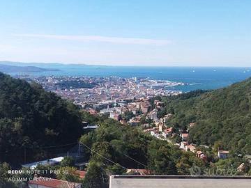 STRADA NUOVA PER OPICINA