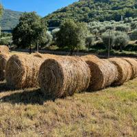 Rotoli fieno