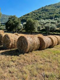 Rotoli fieno