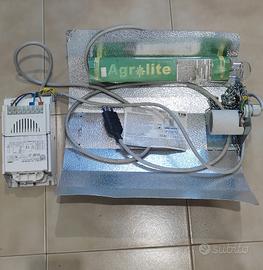 lampada agro