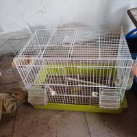 VOLIERA PER UCCELLI