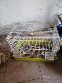 VOLIERA PER UCCELLI