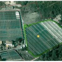 Azienda agricola produzione piante in vaso