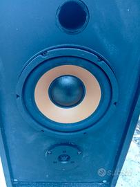 Pioneer 2 casse da discoteca 250 watt Pioneer