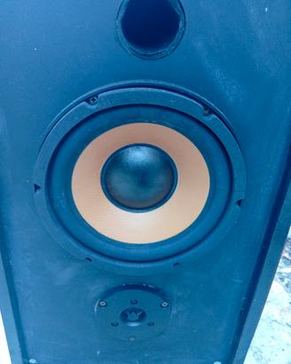 Pioneer 2 casse da discoteca 250 watt Pioneer