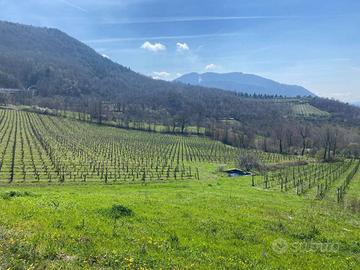 Terreno di 9000 m² a Parolise