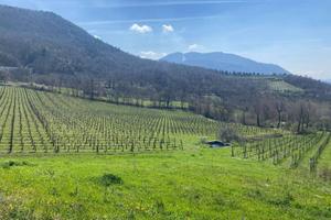 Terreno di 9000 m² a Parolise