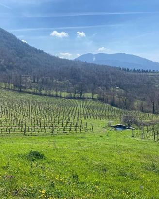 Terreno di 9000 m² a Parolise