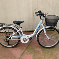 Bicicletta Lazy Days Silvestrini