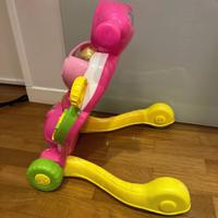 Valentina scooterina