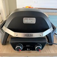Weber pulse 2000