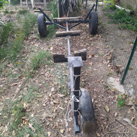 Carrello