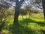 Immagine 22