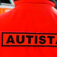autista/commissioni/accompagnamento 