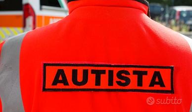 autista/commissioni/accompagnamento 