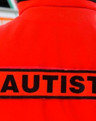 autista/commissioni/accompagnamento 