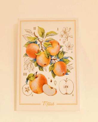 Stampa su tela soggetto botanico mela