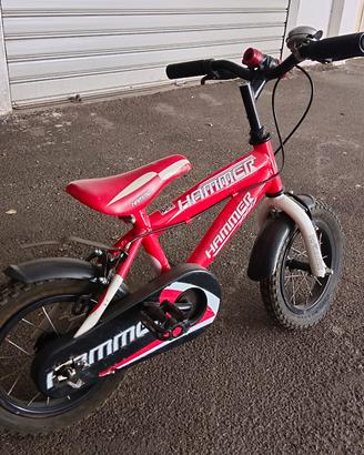 Bicicletta 12'
