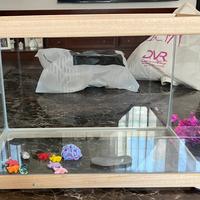 Acquario e accessori