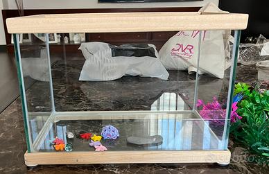 Acquario e accessori