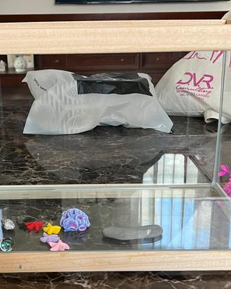 Acquario e accessori