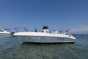 BLUMAX 6 M con motore 115 mercury