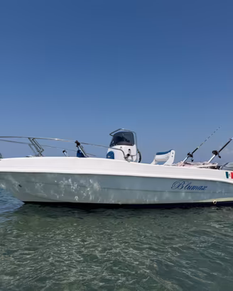 BLUMAX 6 M con motore 115 mercury