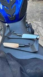 Specchietti simil rizoma moto