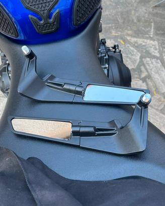 Specchietti simil rizoma moto