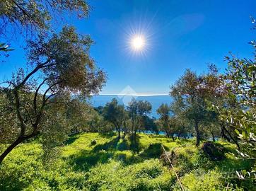 TER. AGRICOLO A CIPRESSA