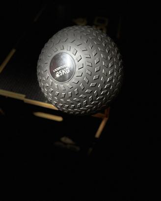 Slam Ball Lacertosus 25 kg PRO - NUOVA