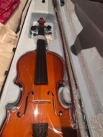 Violino