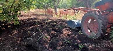 Terreno edificabile vicino Tropea
